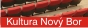 Kultura Nov&yacute; Bor